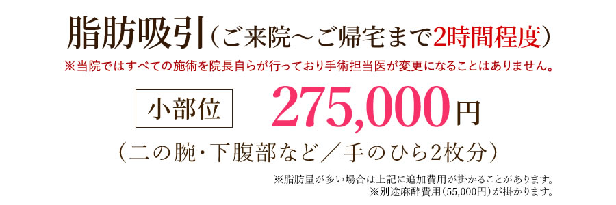 脂肪吸引（ご来院～ご帰宅まで2時間程度）