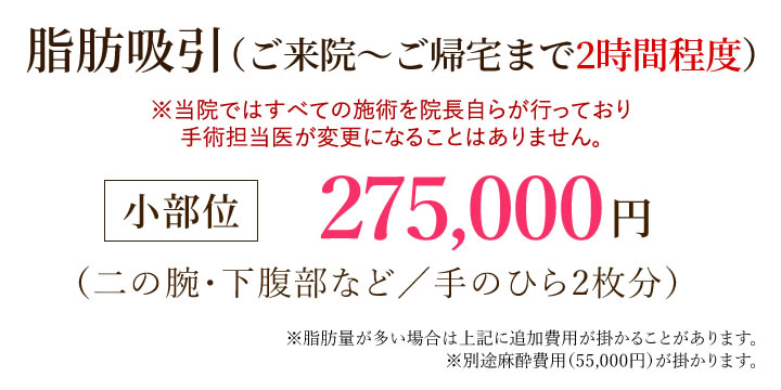 脂肪吸引による痩身治療