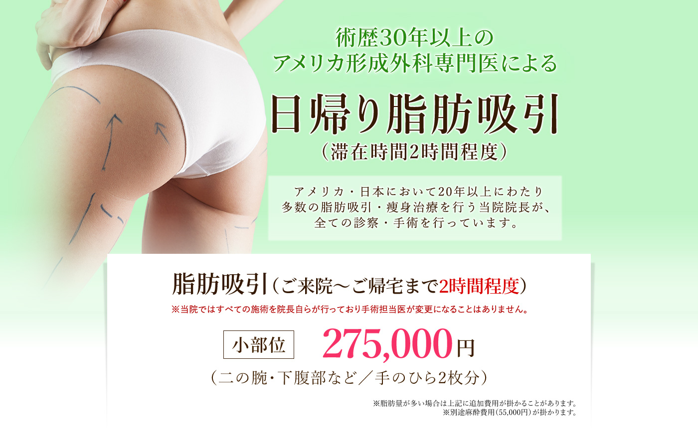 脂肪吸引・ダイエット治療