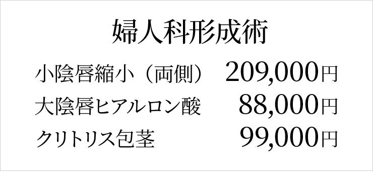 婦人科形成料金