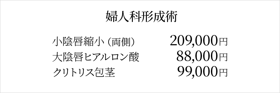 婦人科形成料金