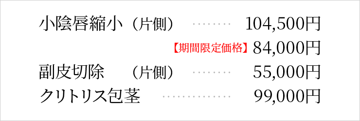 小陰唇縮小・副皮切除の料金