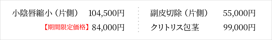 小陰唇縮小・副皮切除の料金