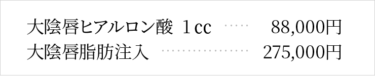 大陰唇ボリュームアップの料金