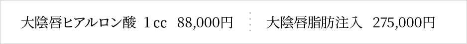 大陰唇ボリュームアップの料金
